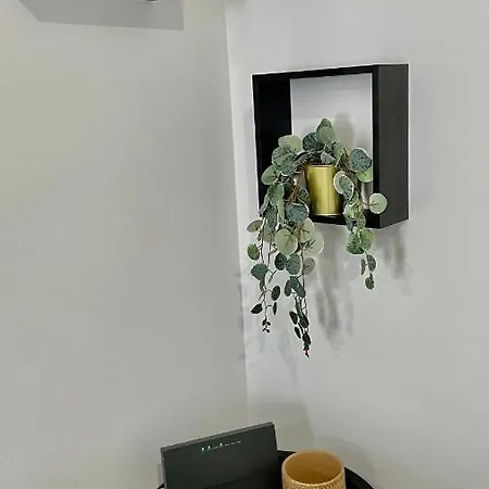 Gorgeous Renovated Apt. Close To Metro And Cultural Sites! Apartment